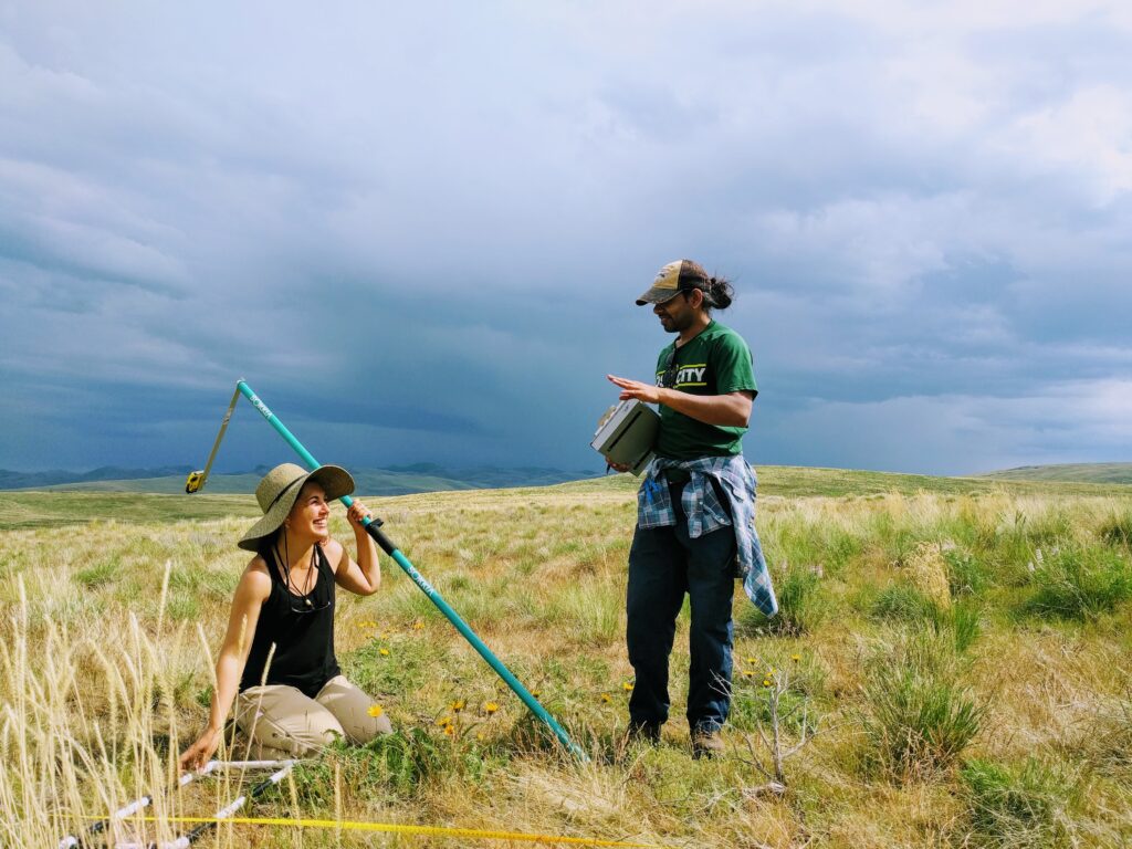 Field work in sagebrush steppe